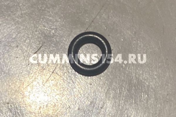 Кольцо уплотнительное масляного щупа Cummins ISF 2.8	C5471021	4944374