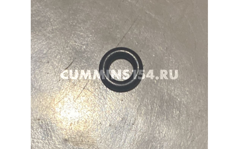 Кольцо уплотнительное масляного щупа Cummins ISF 2.8	C5471021	4944374