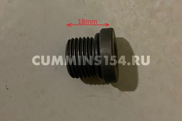 Пробка резьбовая Cummins ISF 2.8, ISBe 185/285-30	C5470976	3089568/3089567