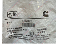 Виброизолятор клапанной крышки Cummins M11 3899798X