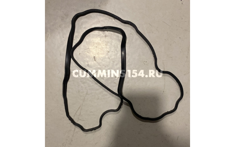 Прокладка клапанной крышки Cummins 4ISBe	C5471336	4899230