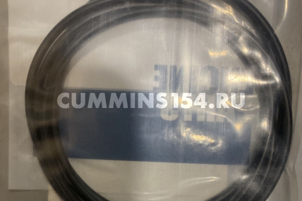 Кольцо уплотнительное патрубка впускного коллектора ГАЗель Cummins ISF 2.8 C5471349	4991149