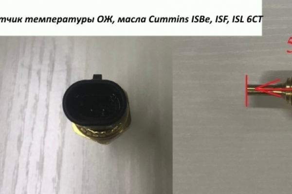 Датчик температуры ОЖ, масла Cummins ISBe, ISF, ISL  6СТ C5410516 4954905