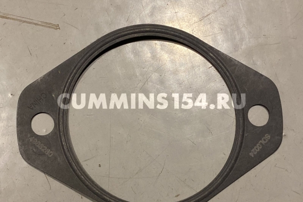 Прокладка насоса ГУР Cummins ISLe	C5471119	4988280/154916/163027