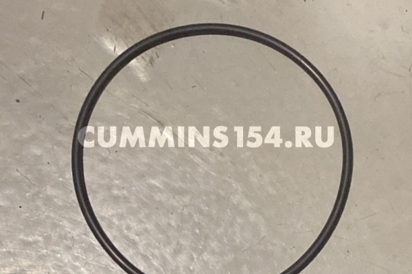 Кольцо уплотнительное шестерни ТНВД Cummins ISLe 5471328	3899283