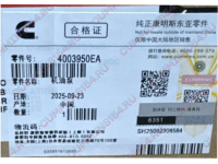 Насос масляный Cummins ISM, QSM, L10  4003950X