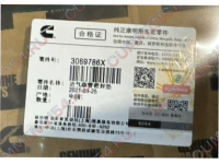 Прокладка впускного коллетора Cummins ISM, QSM, L10  3069786X