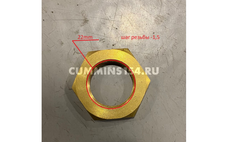 Гайка обогревателя поддона ГАЗель Cummins ISF 2.8	C5471008	4980154