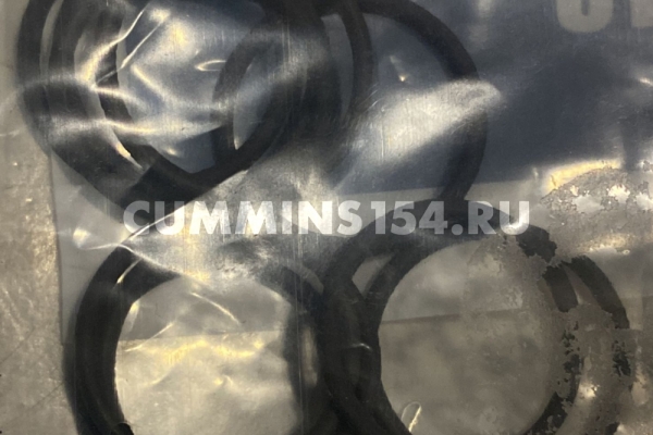 Кольцо уплотнительное Cummins 2.8 ГАЗель	C5471020 3042543/5340700