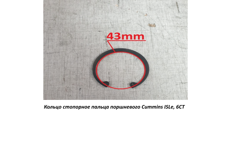 Кольцо стопорное пальца поршневого Cummins ISLe, 6CT C5416657 3920692