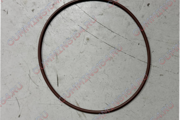 О-кольцо помпы Cummins QSM, ISM, M11  2863701X