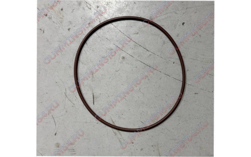 О-кольцо помпы Cummins QSM, ISM, M11  2863701X